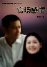 官场感情封面