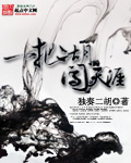 一把二胡闯天涯封面