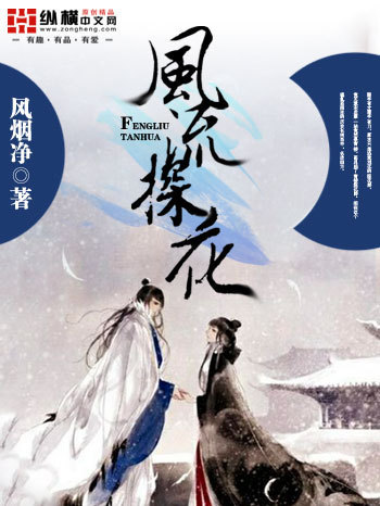 风流探花封面