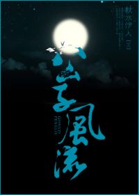 公子风流封面