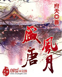 盛唐风月封面