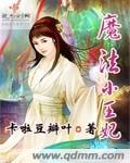 魔法小王妃封面