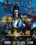 武帝之天龙八部封面