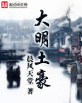 大明土豪封面