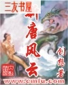 新唐风云封面
