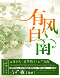 有风自南封面