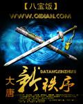 大唐新秩序封面
