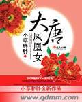 大唐凤凰女封面