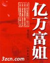 亿万富姐封面