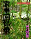 遍地桃花封面