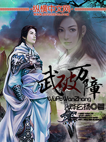 武破万障封面