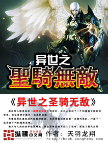 异世之圣骑无敌封面