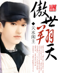 傲世翔天封面