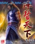 阵惊天下封面