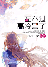 左不过高冷罢了封面