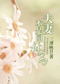 ���ޱ���ͬ�������