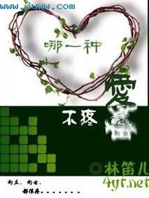 哪一种爱不疼封面