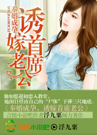 奉婚成孕,诱嫁首席老公封面