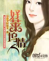 好莱坞情人封面