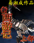 新西游记之炼狱之战封面