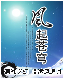 风起苍穹封面