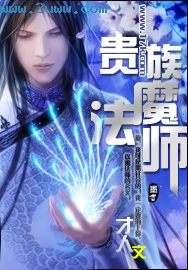 贵族魔法师封面