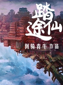踏仙途封面