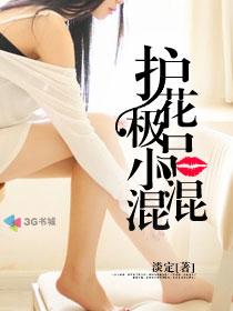 护花极品小混混封面
