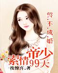 誓不成婚:帝少索情99天封面
