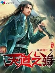 天道之殇封面