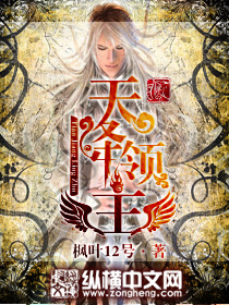 天降领主封面