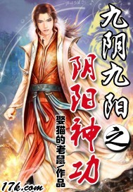 九阴九阳之阴阳神功封面