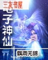 电子神仙封面