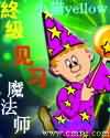 终极见习魔法师封面