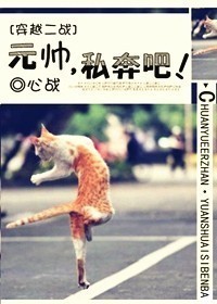 Ԫ˧,˽���ɣ�����