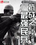 抗战之最强民兵封面