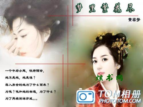 梦里繁花尽封面