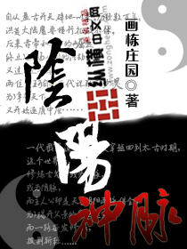 阴阳神脉封面