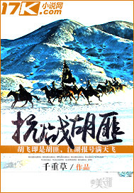 抗战胡匪封面