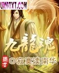 九龙魂封面
