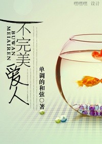 不完美爱人封面