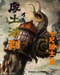 废土法则封面