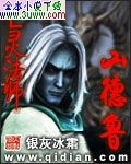 亡灵法师山德鲁封面