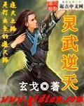 灵武逆天封面