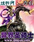 异界圣骑士封面