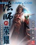 法师的荣耀封面